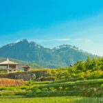 Green Scenery near Guci