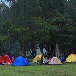 Tetangga di kejauhan