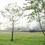 Lapangan depan warung